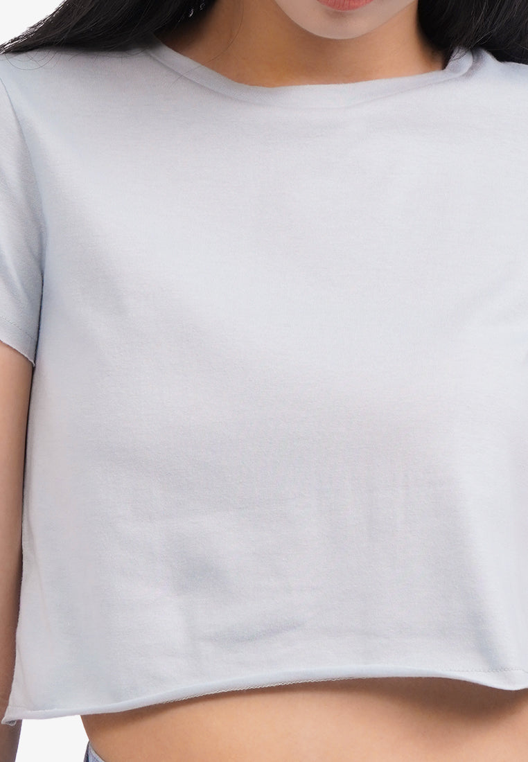 Short Sleeve Basic Crop T-Shirt Blue