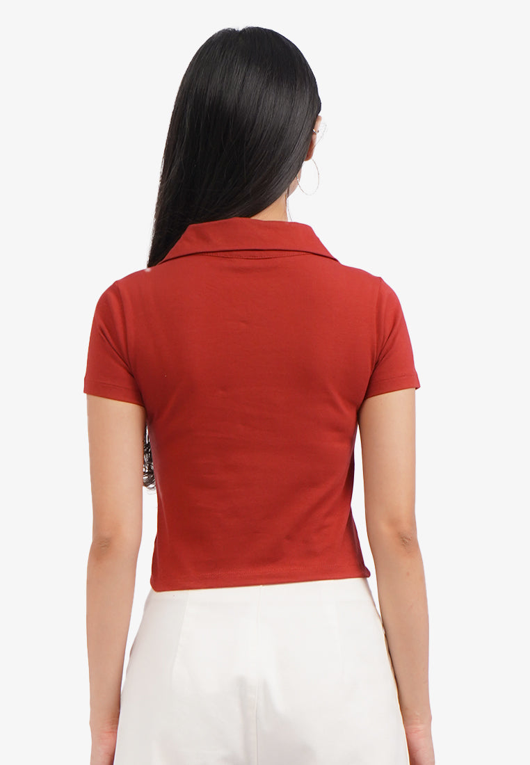 Short Sleeve Graphic Polo Shirt Terracotta