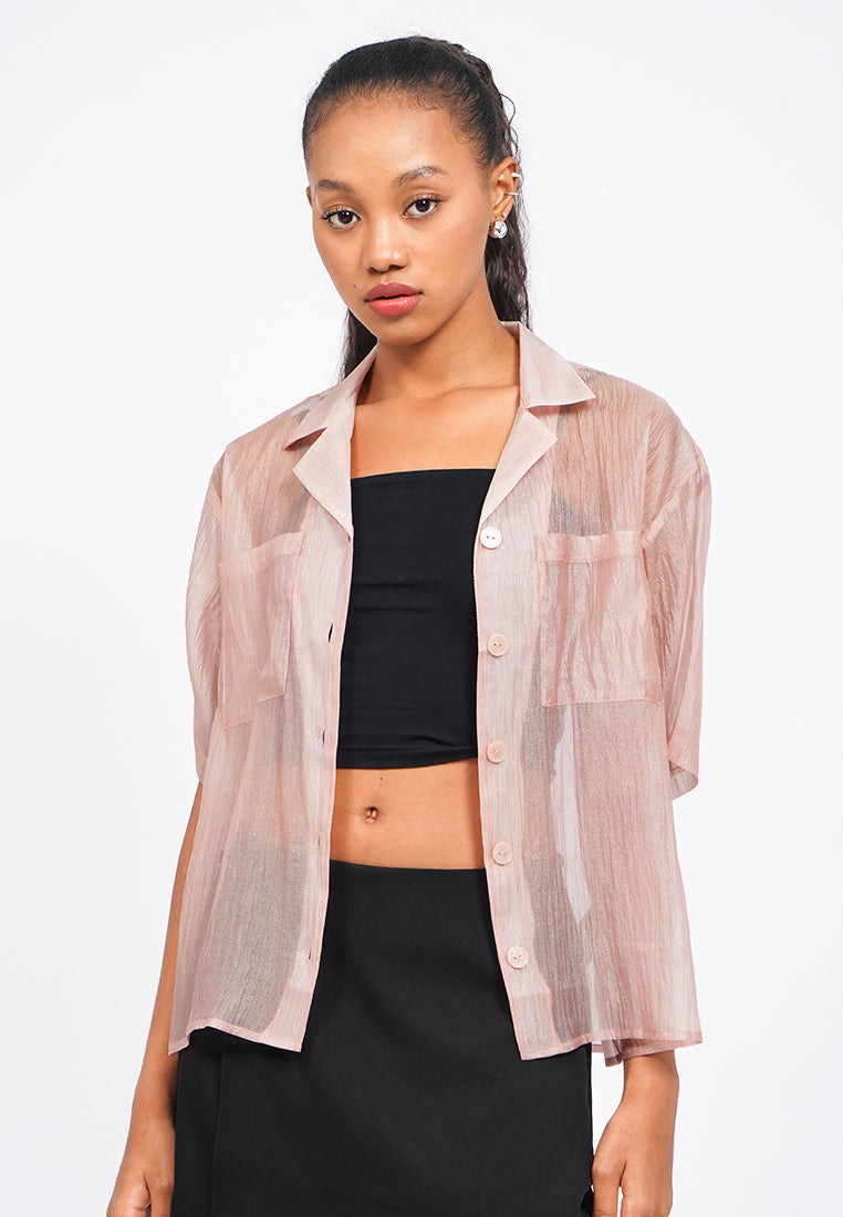 Oversized Short Sleeve Sheer Blouse