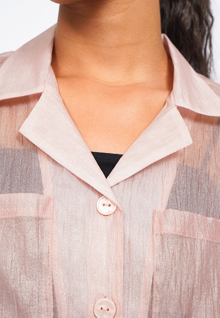 Oversized Short Sleeve Sheer Blouse