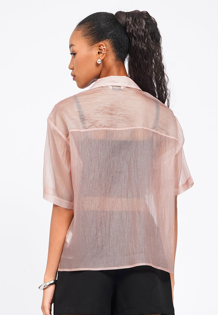 Oversized Short Sleeve Sheer Blouse