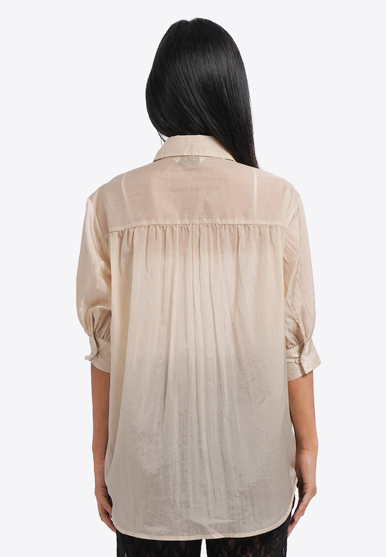 Puff Sleeve Sheer Shirt