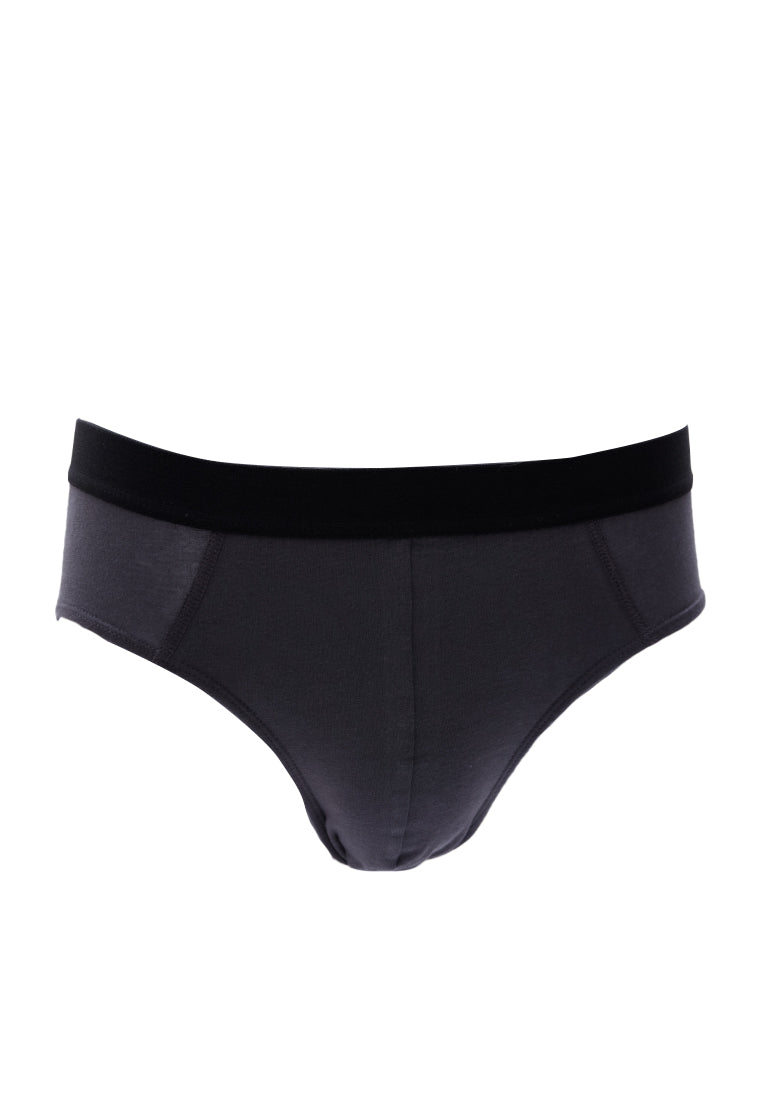 Brief