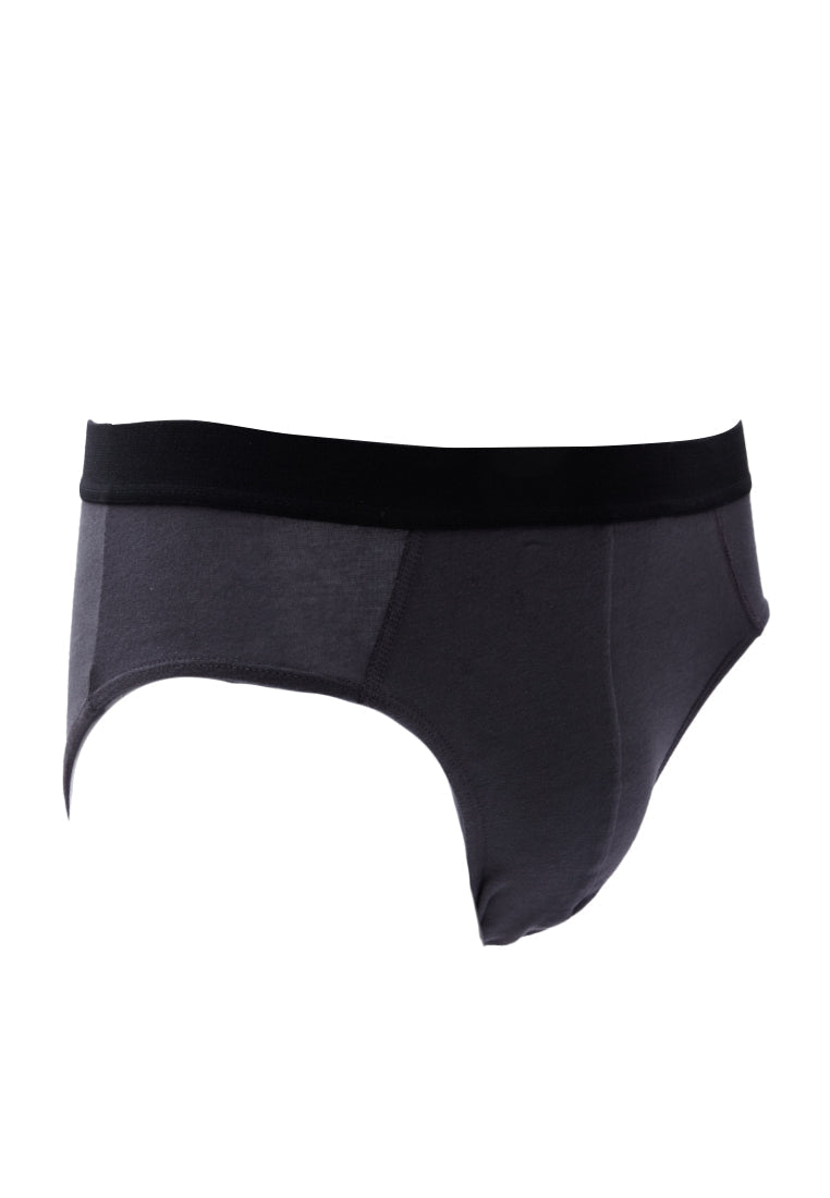 Brief