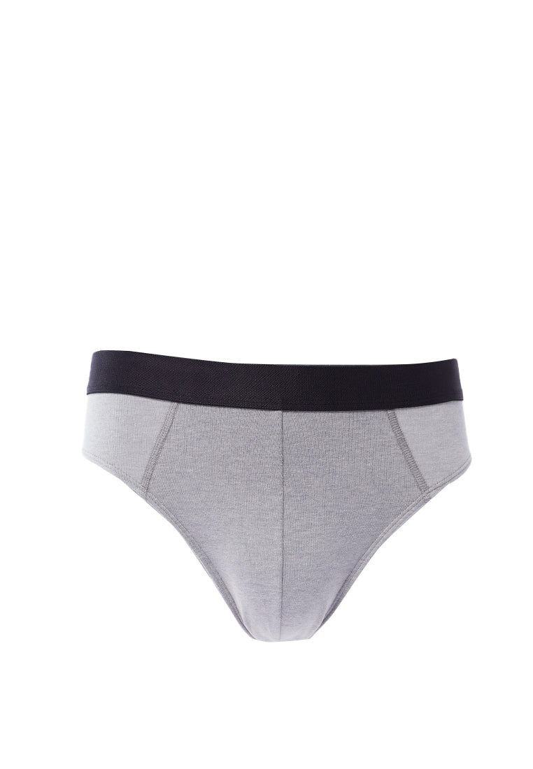 Brief