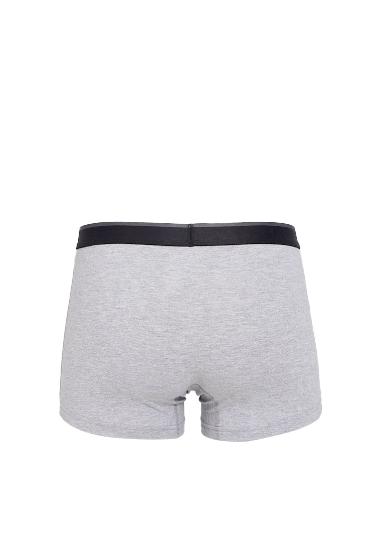 Men Trunk Misty Grey