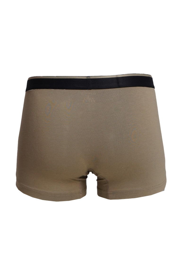 Men Trunk Sand