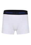 Trunk Underwear