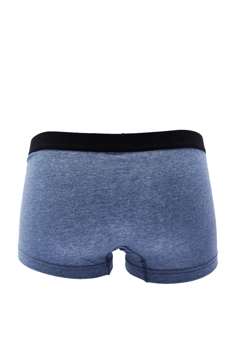 Misty Blue Trunk